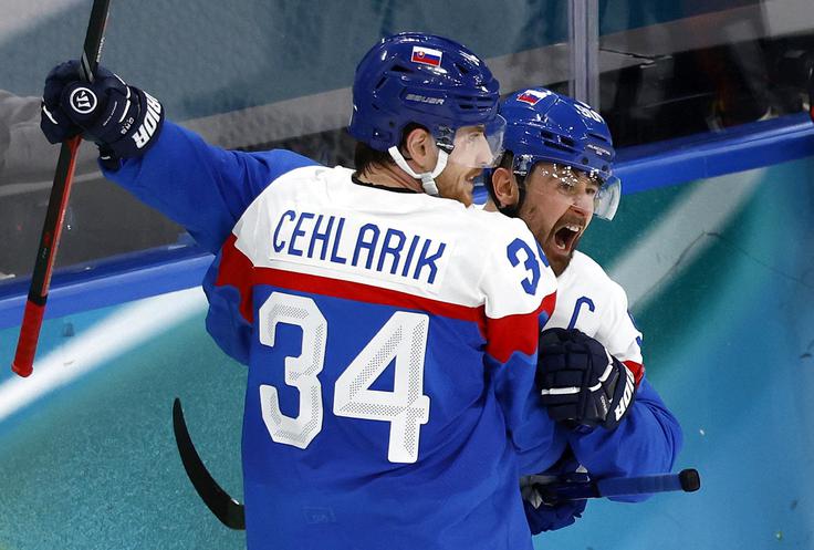 Tomaš Tatar je bil edini, ki je uspel premagati vratarja Juuseja Sarosa. | Foto: Reuters