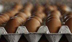 Pomembni vitamini se skrivajo tudi v jajcih