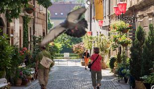 Ljubljanska ulica z vznemirljivo preteklostjo in sedanjostjo (foto)