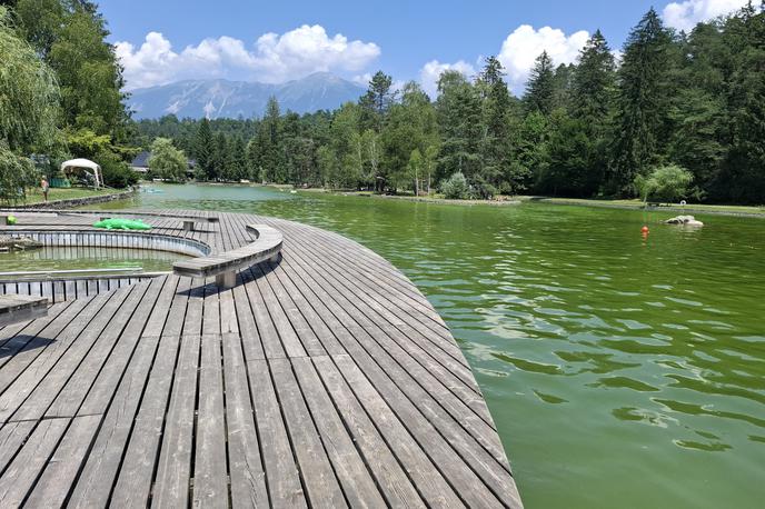 Gošča | Na agenciji svetujejo previdnost pri kopanju otrok in psov, da se izogibajo gošči, pa svetujejo prav vsem. | Foto Arso