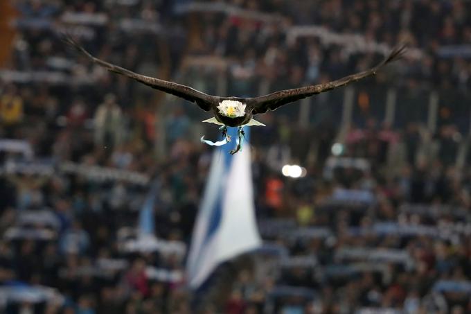 30. oktober: orel pred tekmo italijanskega nogometnega prvenstva med Laziem in milanskim Interjem na Olimpijskem štadionu v Rimu. | Foto: Reuters