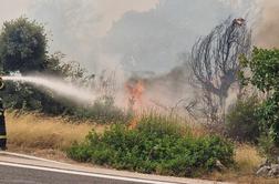 Obsežen požar na Korčuli pod nadzorom