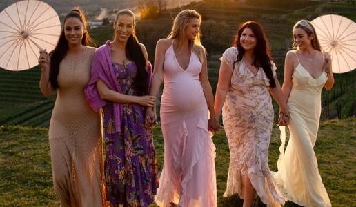 Tina Gaber Golob v idiličnih Brdih na zabavi za bodočo mamo