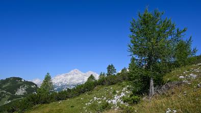 Lepi dnevi za jurčke in vrhunski pogled na Triglav #video