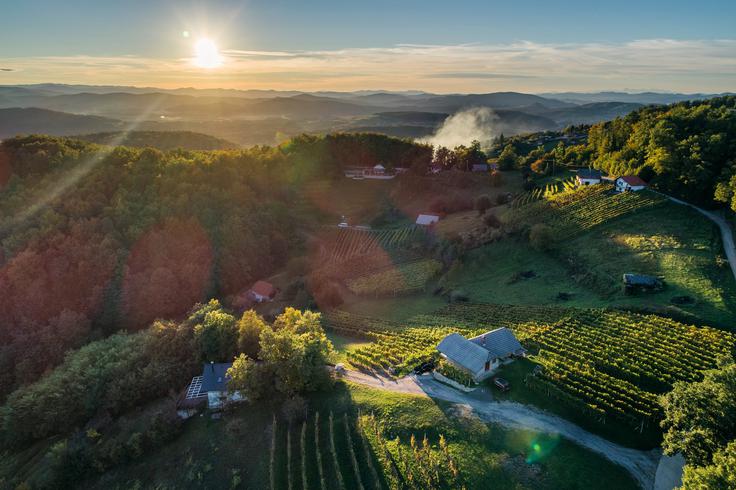 Slikovit pogled na legendarne zidanice. Foto: Društvo vinogradnikov Trška gora | Foto: 