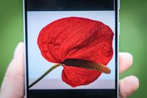 Samsung Galaxy A56 5G