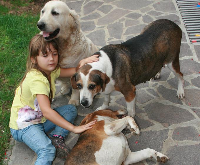 Živali so tako dober člen terapije, ker se ljudje ob njih počutijo sprejete.  | Foto: Društvo za aktivnosti in terapijo s pomočjo živali
