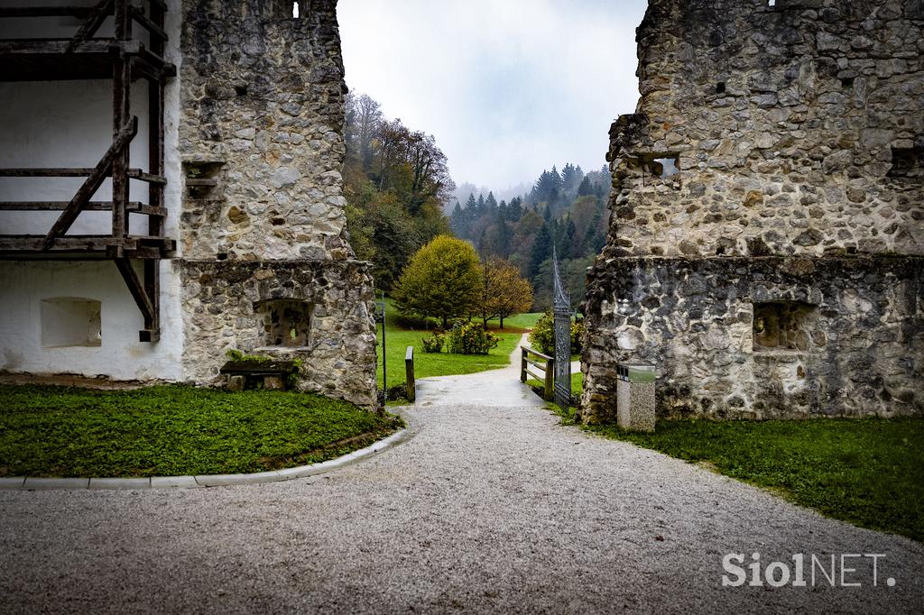 Žička kartuzija