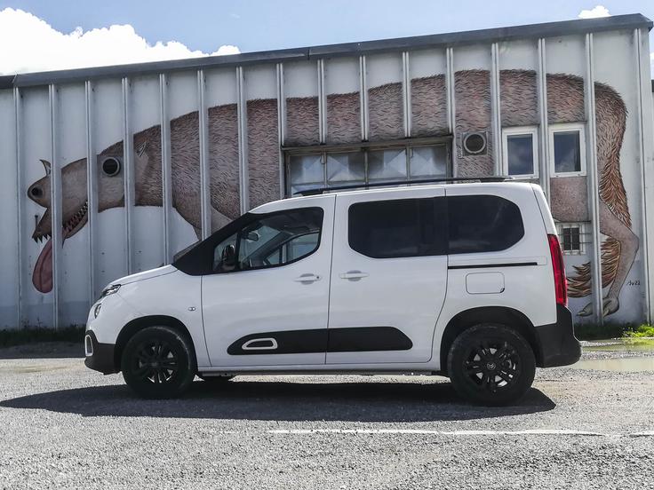 Ponavljamo, da so dinozavri izumrli, berlingo pa se ne da. | Foto: Gašper Pirman