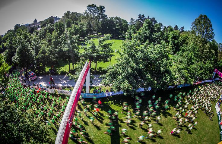 Lani je Tivoli preplavila zelena reka. | Foto: Vid Ponikvar