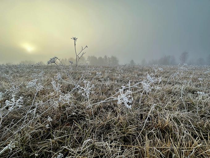 Od nedelje naprej bomo izmerili okoli pet stopinj Celzija nižje temperature od trenutnih. Na izpostavljenih legah je možna tudi slana. | Foto: Bralec