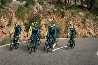 Ni več dilem: Red Bull bo združil moči z Rogličevo BORO - hansgrohe