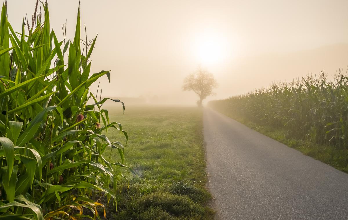 megleno jutro | Foto Shutterstock