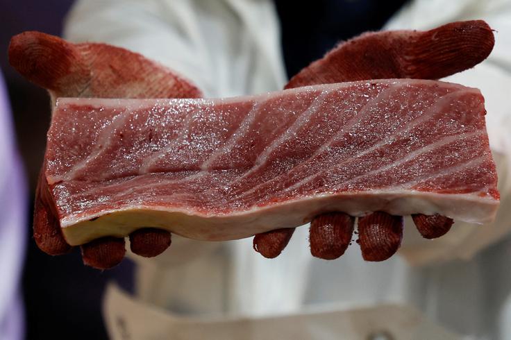 modroplavuti tun, tuna, riba, dražba, Japonska, suši | Foto: Reuters