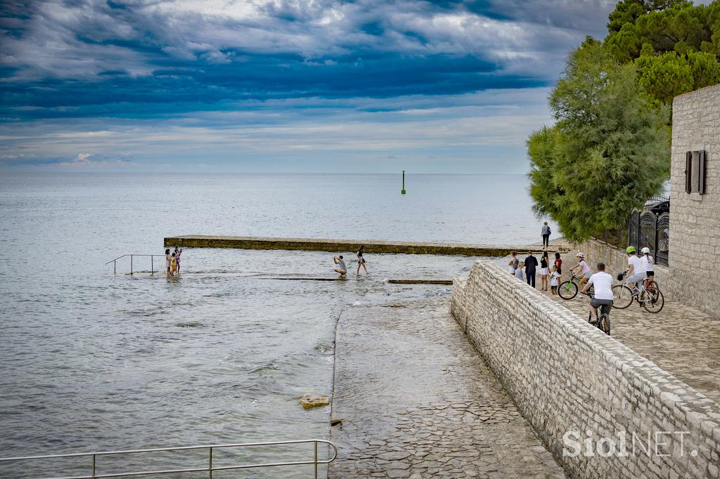 Novigrad