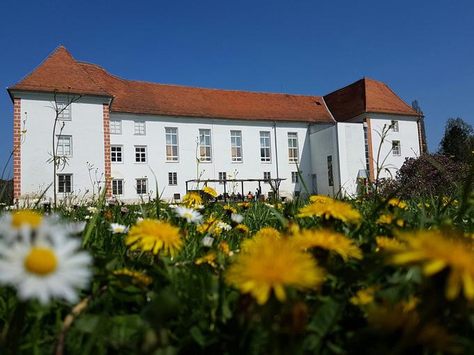 Murska Sobota, srce Pomurja, je odlično izhodišče za raziskovanje turističnih znamenitosti, narave, tradicije in kulinarike v regiji. | Foto: 