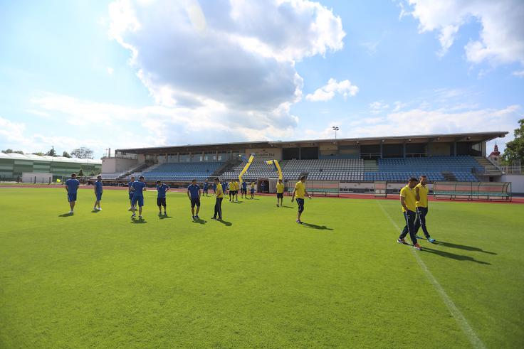 Domžalčani so gostili Gorico na Ptuju, saj v domžalah prenavljajo igrišče. | Foto: Žiga Zupan/Sportida