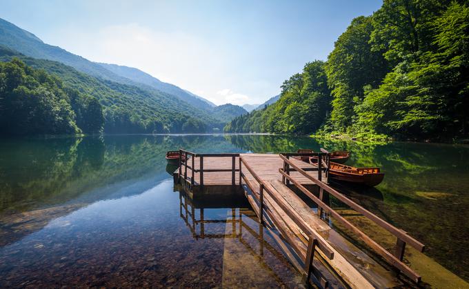 Po 475 kilometrih vas Montenegro Express pripelje v narodni park Biogradska Gora, enega redkih ohranjenih deževnih gozdov v Evropi. | Foto: Shutterstock