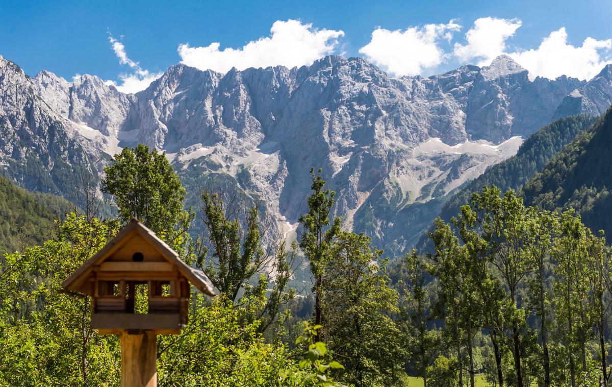 Češka koča | Ste že glasovali za najljubšo planinsko postojanko? Prvi krog glasovanje se bo iztekel v ponedeljek, 12. avgusta, dan pozneje bomo objavili seznam desetih finalistk. | Foto Klemen Korenjak