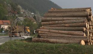 Madžarski trgovec z lesom ogoljufal tudi tuja podjetja #video