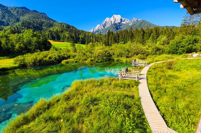 Zelenci | Foto Shutterstock
