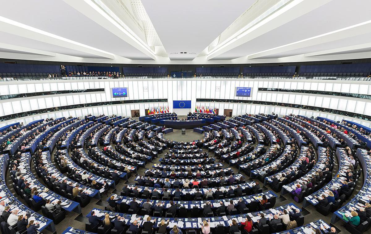 Nsi, volitve v evropski parlament 2024 | Foto arhiv naročnika