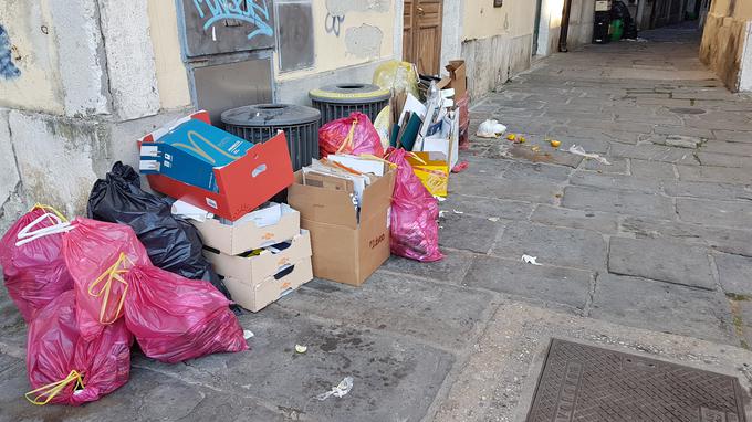 "V naravi, poleg otokov za zbiranje odpadkov in na žalost tudi po zelenicah ter parkih je veliko odpadkov, ki predstavljajo glavni vir prehrane glodavcev, posledično se zadržujejo tudi v okolici," pojasni Miran Zupan, strokovnjak s področja deratizacije.  | Foto: bralka