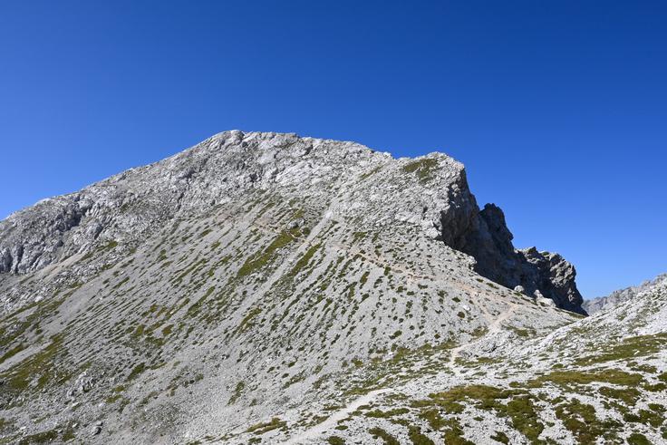 Mala Zelnarica, zadnjih 20 minut vzpona na 2.310 metrov | Foto: Matej Podgoršek