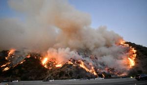 Kalifornija še vedno v primežu ognjenih zubljev #foto