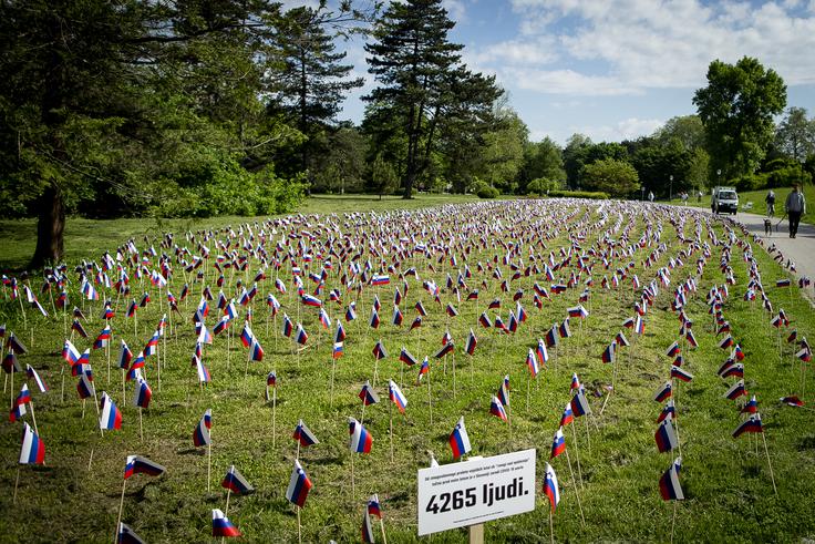 Povprečna starost ob smrti covidnih bolnikov je bila v letu 2020 pri ženskah 85,60, pri moških 80,41 leta. Na fotografiji ljubljanski park Tivoli, kjer se je ponoči 1. junija 2021 pojavilo 4.265 slovenskih zastavic, v spomin na ljudi, ki so umrli za boleznijo covid-19. | Foto: Ana Kovač