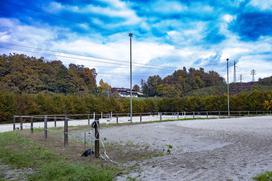 Pedagoško raziskovalni center za konjerejo Krumperk