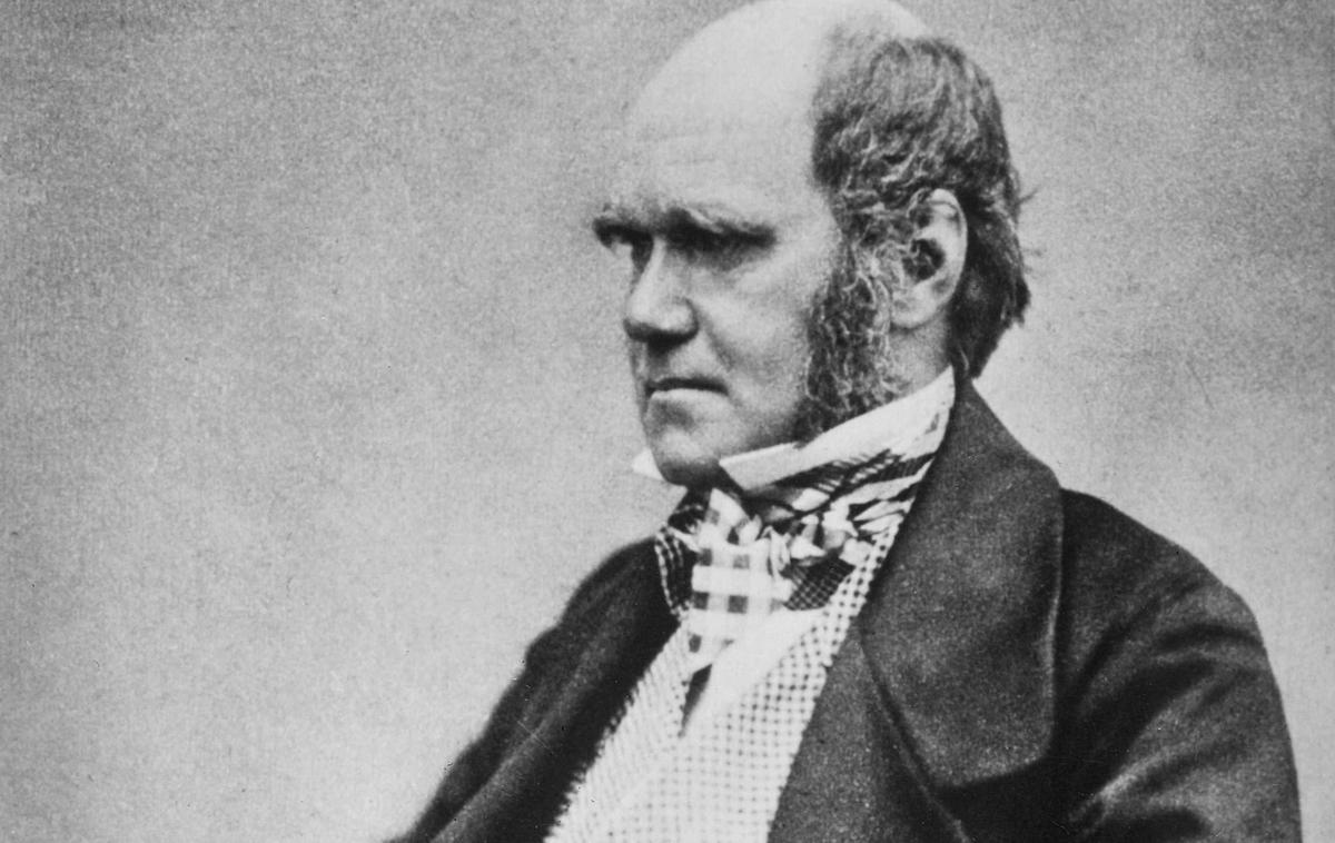 Charles Darwin | Ko je Charles Darwin začel trditi, da imajo ljudje in opice skupnega prednika, je bila to zelo pogumna izjava. Poznejša desetletja, ko so odkrivali vse več okostij človekovih prednikov, so potrdila njegove teorije. | Foto Wikimedia Commons