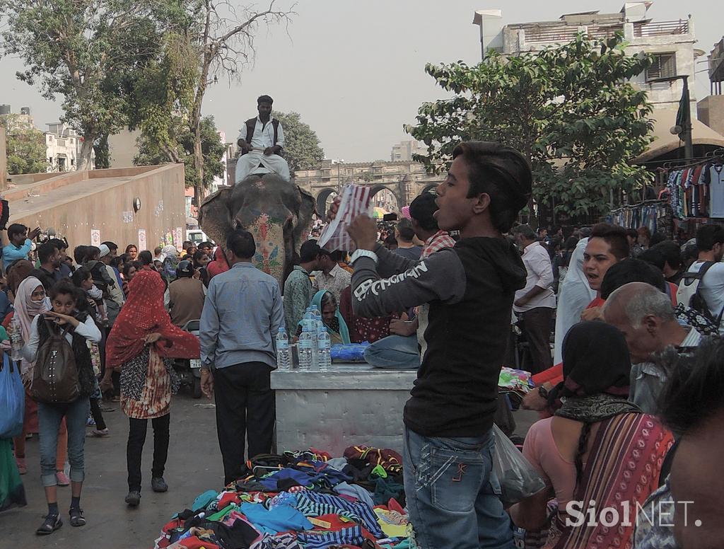 Indija zmajarji Ahmedabad festival človeška ribica proteus