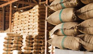 Kam je izginilo 17 ton riža iz Slovenske Bistrice?