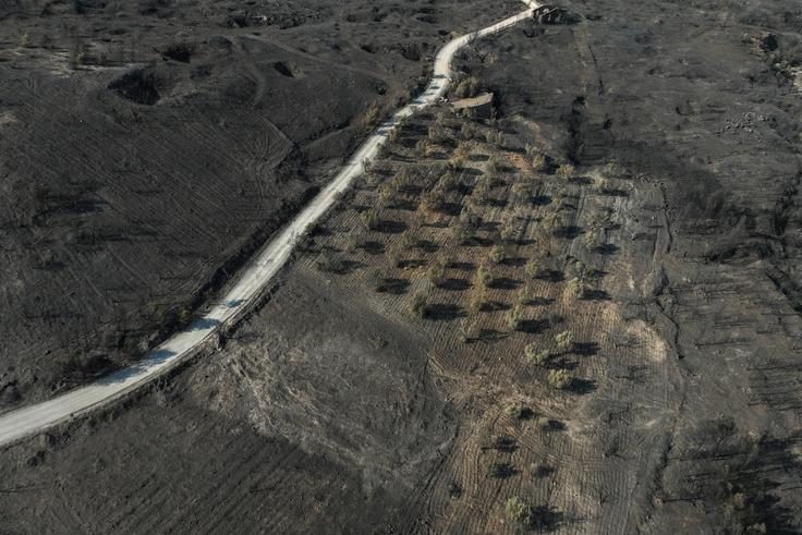 Atene, Grčija, požar | Foto: Reuters