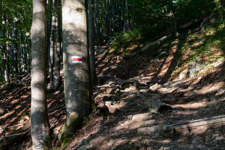 Pot je nezahtevna in lepo markirana. | Foto: Matej Podgoršek