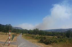 Ob železnici nad Črnim Kalom izbruhnil velik požar #foto #video