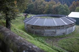 Pedagoško raziskovalni center za konjerejo Krumperk