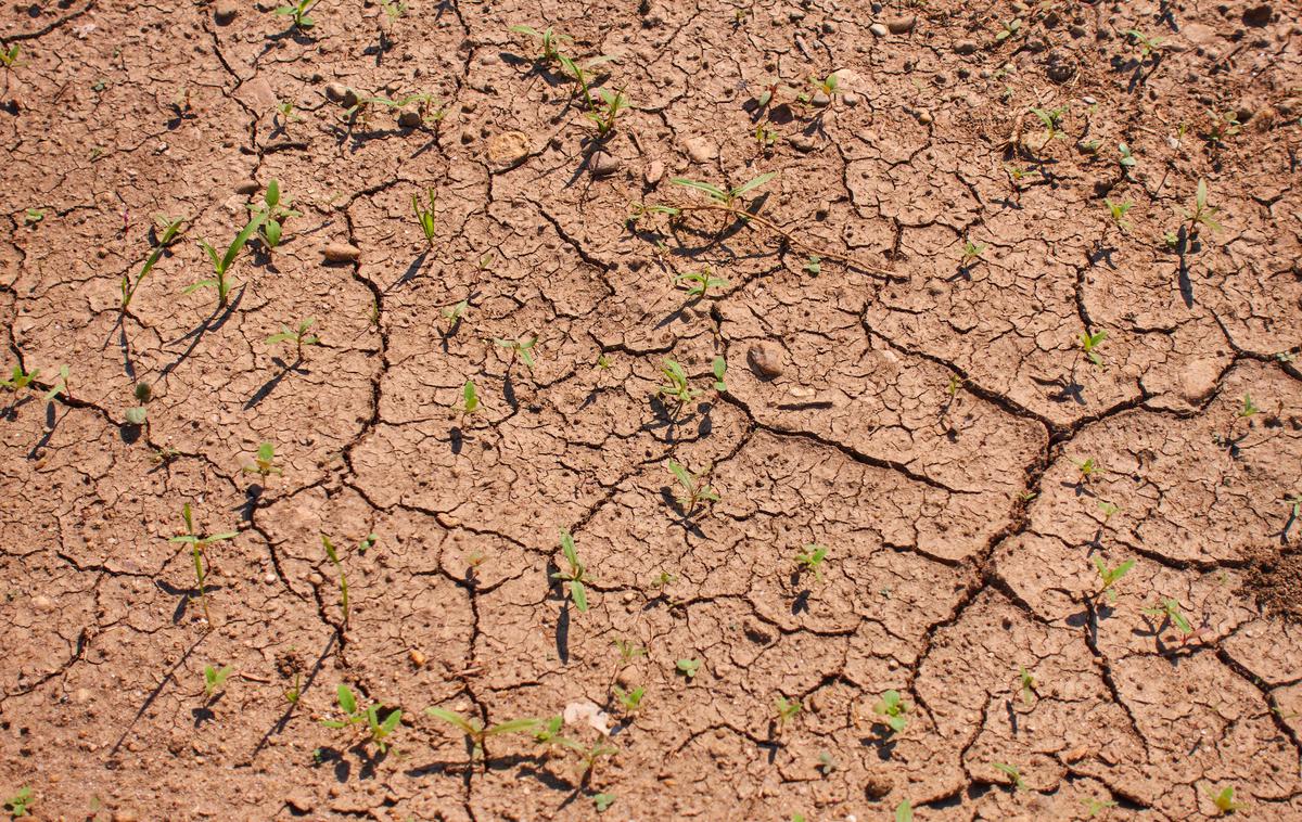 Izsušena zemlja | Nas to poletje čakajo rekordno visoke temperature, ki bodo imele zelo hude posledice? | Foto Guliverimage