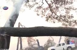 Drevo je padlo na reševalno vozilo, gasilec se je komaj rešil #video