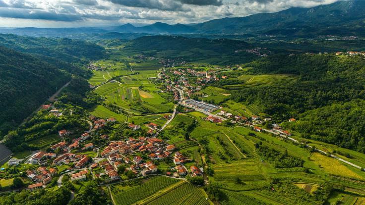 Pisni viri o Slovanih, ki v bližini Istre vdirajo v smeri proti Italiji, poročajo že na prelomu med 6. in 7. stoletjem. Pisni viri poročajo tudi o slovanskem naselju v bližini današnje Furlanije v prvi polovici 7. stoletja (Zgodovina Langobardov Pavla Diakona) in o langobardsko-slovanskih spopadih na zahodu današnje Slovenije v prvi polovici 8. stoletja (prav tako Pavel Diakon). Toda za zdaj so npr. v Vipavski dolini Slovani genetsko prvič izpričani šele v naselbini na območju Šturij, za katero arheologi ugotavljajo, da je nastala šele v 11. stoletju. Na simbolični fotografiji vidimo območje Vipavske doline. | Foto: Guliverimage