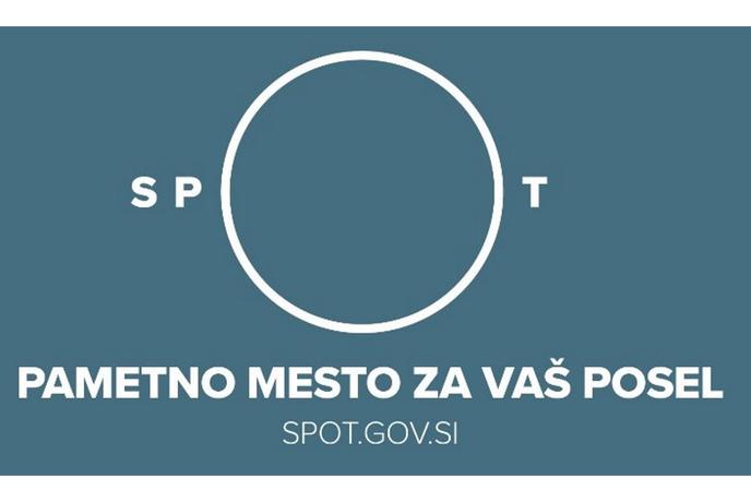 Sistem brezplačnih podpornih storitev države za poslovne subjekte