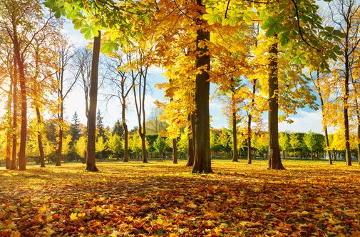 Meteorologi napovedujejo: takšno vreme nas čaka jeseni