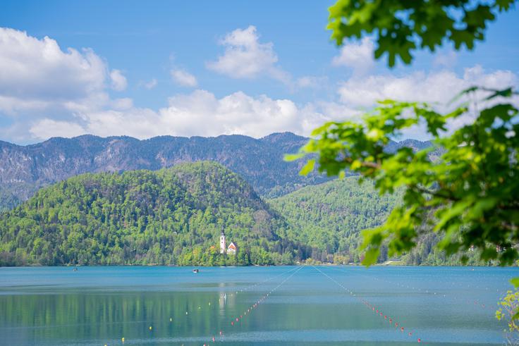 Bled veslanje Bled | Foto: Veslaška zveza Slovenije
