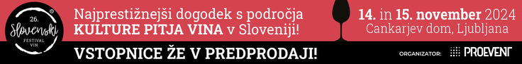 FESTIVAL VIN - banner 728x90 | Foto: 