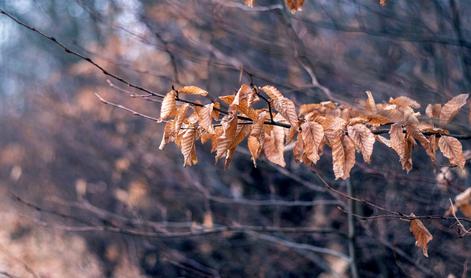 Kratko zatišje: sledi vremenski preobrat