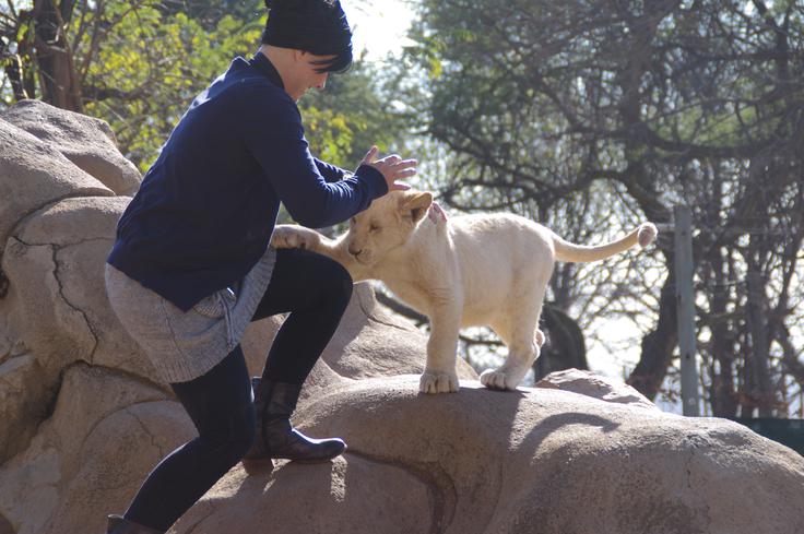 V Južni Afriki se uporablja enajst jezikov, a uradna sta le angleščina in afrikanščina. | Foto: Društvo Biti novinar