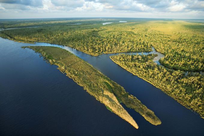 Nacionalni park Everglades vam bo vzel sapo. | Foto: Thinkstock