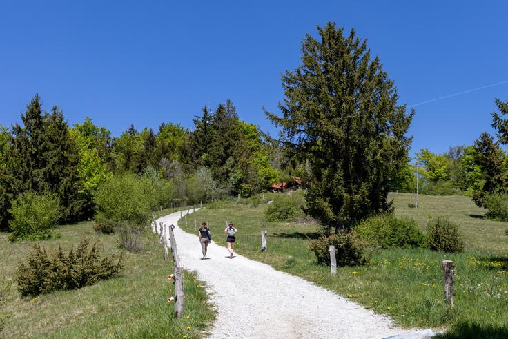 Zadnji metri vzpona, od Vrha pri Poljanah na Grmado na Mali gori. | Foto: Matej Podgoršek