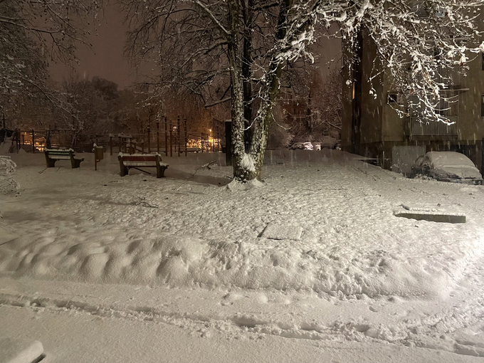 Sneženje v Novem mestu | Foto: Š. L.